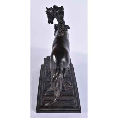 160F - A LARGE 19TH CENTURY EUROPEAN GRAND TOUR BRONZE FIGURE OF A HORSE modelled rearing upon a rectangula... 