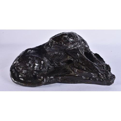 200B - Attributed to Auguste Rodin (1840-1917) Bronze, Lioness, Possibly a studio model. 22 cm x 12 cm x 10... 