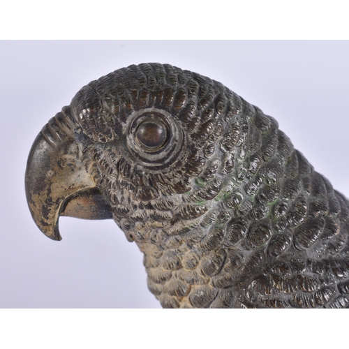 20H - A LATE 19TH CENTURY AUSTRIAN COLD PAINTED BRONZE PARROT by Franz Xavier Bergmann. 10 cm x 12 cm.