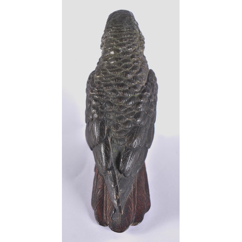 20H - A LATE 19TH CENTURY AUSTRIAN COLD PAINTED BRONZE PARROT by Franz Xavier Bergmann. 10 cm x 12 cm.