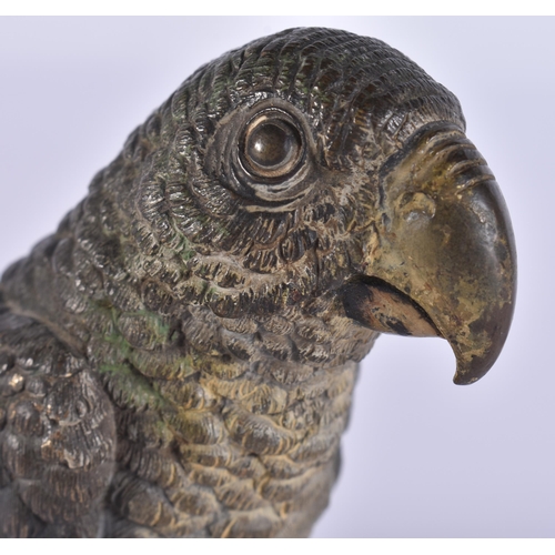 20H - A LATE 19TH CENTURY AUSTRIAN COLD PAINTED BRONZE PARROT by Franz Xavier Bergmann. 10 cm x 12 cm.