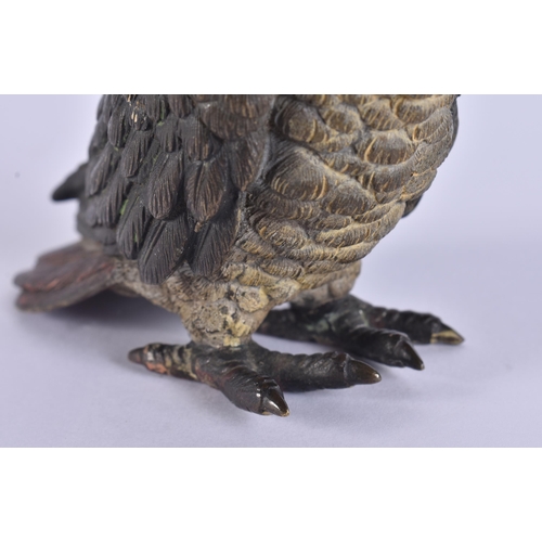 20H - A LATE 19TH CENTURY AUSTRIAN COLD PAINTED BRONZE PARROT by Franz Xavier Bergmann. 10 cm x 12 cm.