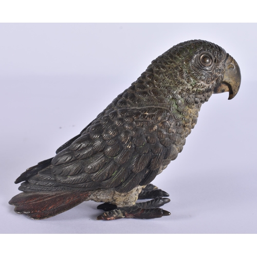 20H - A LATE 19TH CENTURY AUSTRIAN COLD PAINTED BRONZE PARROT by Franz Xavier Bergmann. 10 cm x 12 cm.