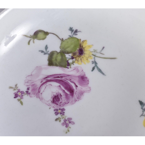 220C - A GROUP OF 19TH CENTURY MEISSEN CUPS AND SAUCER painted with botanical sprays. 13 cm wide. (16)