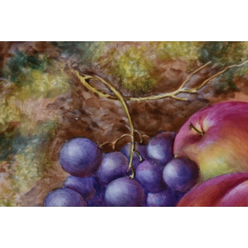 233 - A ROYAL WORCESTER FRUIT PAINTED PORCELAIN PLATE by Freeman. 27 cm wide.