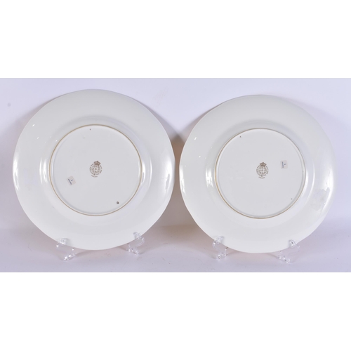 250 - A PAIR OF ROYAL WORCESTER FRUIT PAINTED PORCELAIN PLATES by Reed. 25 cm wide.