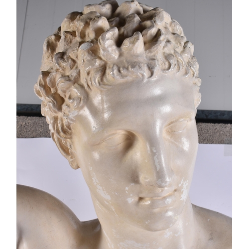 296 - A LARGE PLASTER BUST OF A MALE. 84 cm x 54 cm.