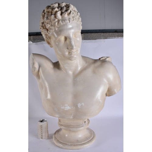 296 - A LARGE PLASTER BUST OF A MALE. 84 cm x 54 cm.