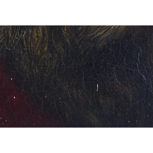 3 - European School (19th Century) Oil on board, Bearded male. 52 cm x 42 cm.