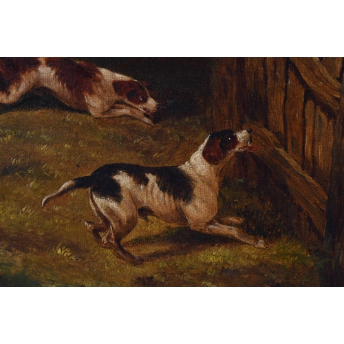 4 - English School (19th Century) Pair, Oil on canvas, Equestrian interest, First & Last leap. 84 cm x 5... 