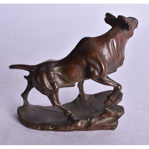 1823 - A Bronze Study of a Bull.  6.7cm x 8cm x 2.8cm, weight 217g