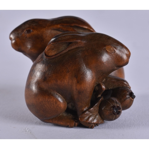 2024 - A FINE 19TH CENTURY JAPANESE MEIJI PERIOD CARVED WOOD HARE NETSUKE with amber eyes. 4 cm x 3.5 cm.