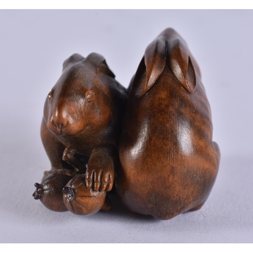 2024 - A FINE 19TH CENTURY JAPANESE MEIJI PERIOD CARVED WOOD HARE NETSUKE with amber eyes. 4 cm x 3.5 cm.