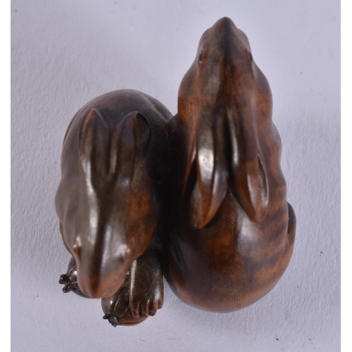 2024 - A FINE 19TH CENTURY JAPANESE MEIJI PERIOD CARVED WOOD HARE NETSUKE with amber eyes. 4 cm x 3.5 cm.
