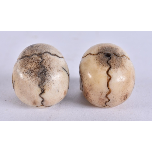 2242 - TWO MEMENTO MORI CARVED ANTLER HORN SKULLS. 28 grams. 2.75 cm x 2.75 cm. (2)