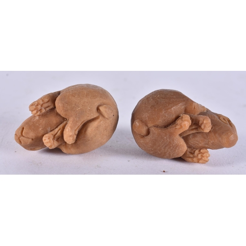 2258 - TWO JAPANESE TAGUA NUT RABBITS. 18 grams. 2.25 cm x 3.25 cm. (2)