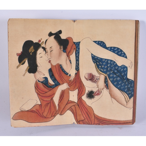 2537 - A CHINESE EROTIC FOLDING BOOKLET. 18 cm x 12 cm closed.