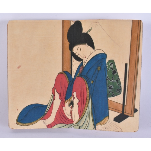2537 - A CHINESE EROTIC FOLDING BOOKLET. 18 cm x 12 cm closed.