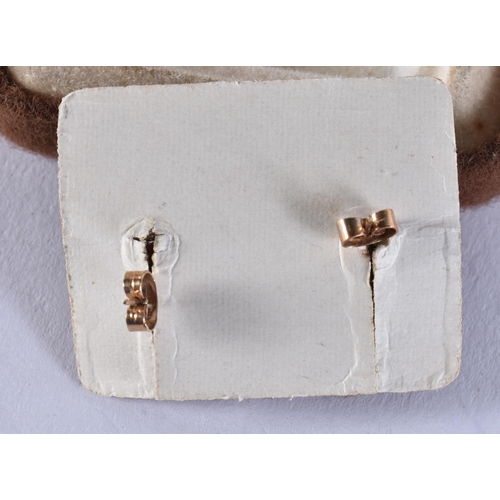 2629 - A PAIR OF GOLD AND CORAL EARRINGS. 2.5 grams. 1 cm wide.