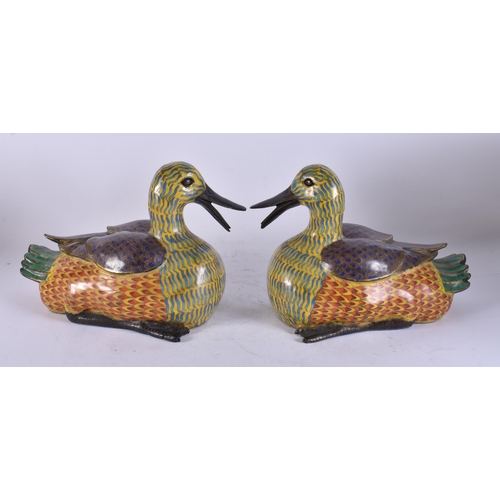 2684 - A LARGE PAIR OF CHINESE CLOISONNE ENAMEL DUCKS. 27 cm wide.
