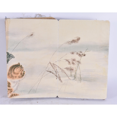 2702 - A CHINESE BOOK OF CATS. Each page open 34 cm x 28 cm.