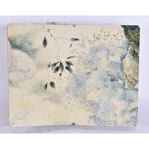 2702 - A CHINESE BOOK OF CATS. Each page open 34 cm x 28 cm.