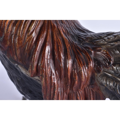 2717 - A LARGE 19TH CENTURY AUSTRIAN COLD PAINTED BRONZE FIGURE OF A COCKERELL probably by Bergmann. 23 cm ... 