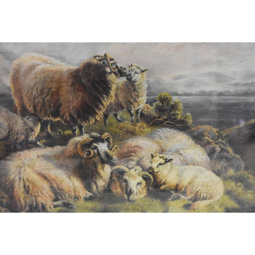 3184 - A circle of Robert Watson late 19th Century, framed oil on  canvas depicting sheep in a landscape si... 