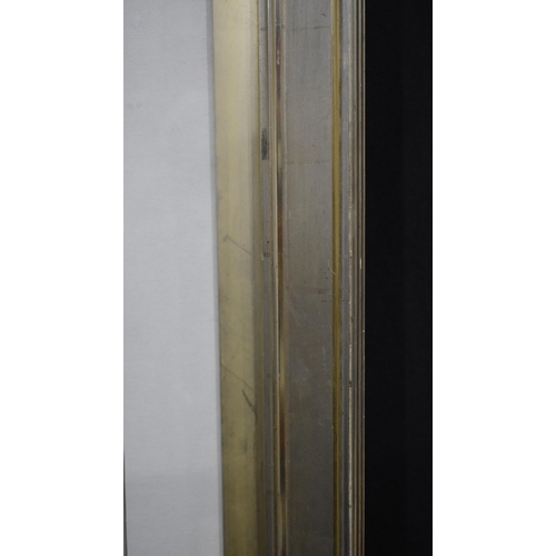 3187 - A large fossilized Green River formation fish 92 x 64cm