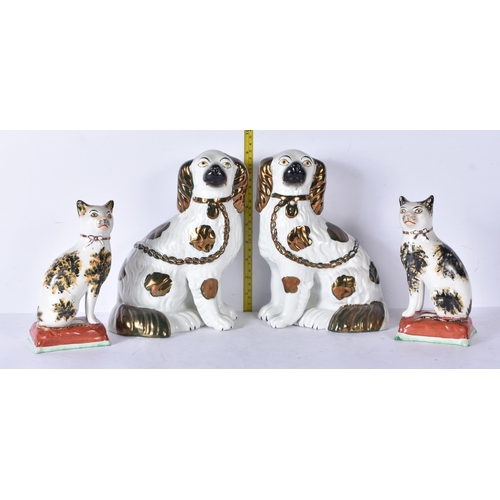 3201 - A pair of antique Staffordshire cats together with two dogs 24cm (4)