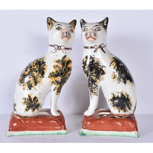 3201 - A pair of antique Staffordshire cats together with two dogs 24cm (4)