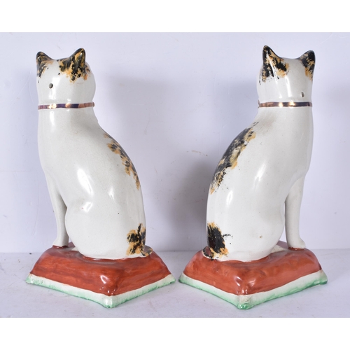 3201 - A pair of antique Staffordshire cats together with two dogs 24cm (4)
