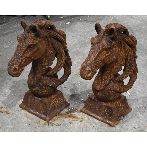 3386 - A pair of cast iron Horse Head garden features 45cm