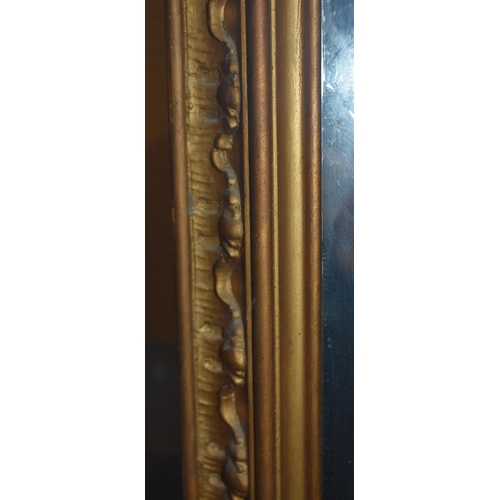 3431 - A huge 19th Century archtop pier mirror 193 x 72cm