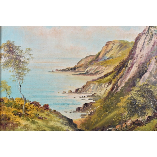 3438 - George Willis Pryce (1866 -1949 ) oil on board of the Pembrooke coast 18.5 x 23.5cm frame 24 x 29.5c... 