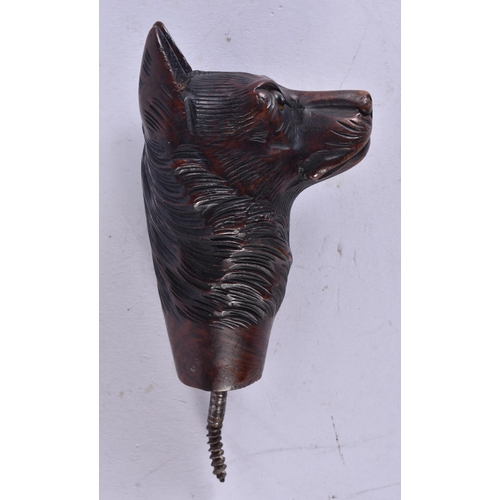 119 - A 19TH CENTURY BAVARIAN BLACK FOREST CARVED WOOD DOG CANE HANDLE. 9 cm long excluding screw.