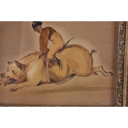 125 - European School (19th Century) Pair, Watercolours, Monkeys riding pigs. 22 cm x 20 cm, image 13 cm x... 