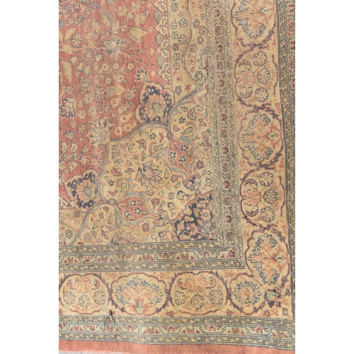 An Iranian rug 280 x 186cm