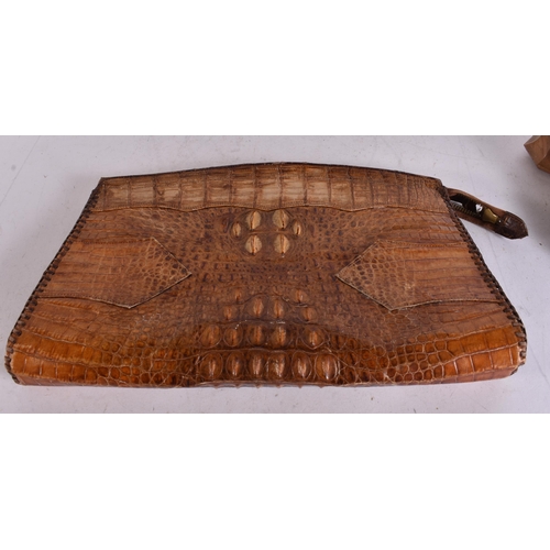 893 - A TAXIDERMY SKIN etc. (3)