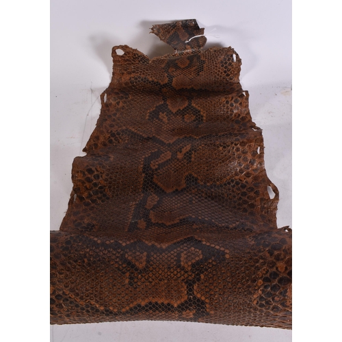 893 - A TAXIDERMY SKIN etc. (3)