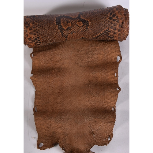 893 - A TAXIDERMY SKIN etc. (3)