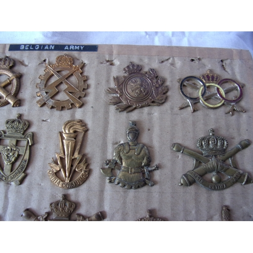 105 - Belgium army badges