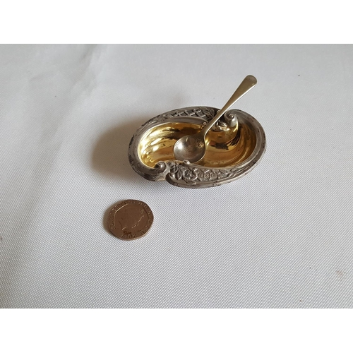 66 - HM silver salt c1899
