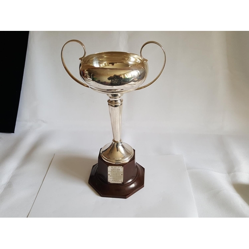 13 - silver plated trophy