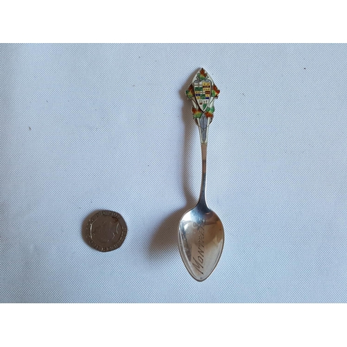 57 - Canadian sterling silver & enamel spoon