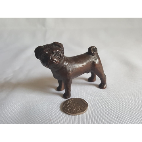 90 - bronze pug dog