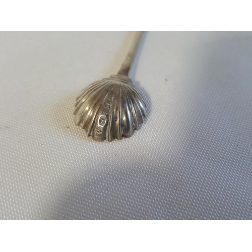 164 - HM silver shell shaped salt spoon c1855