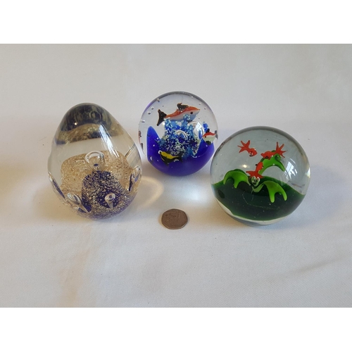 30 - 3 glass paperweights