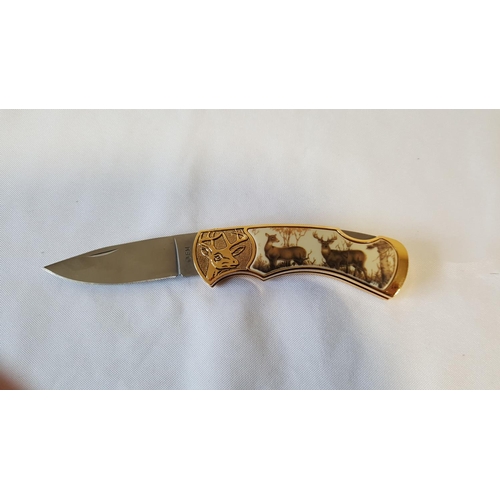 Lot 194       