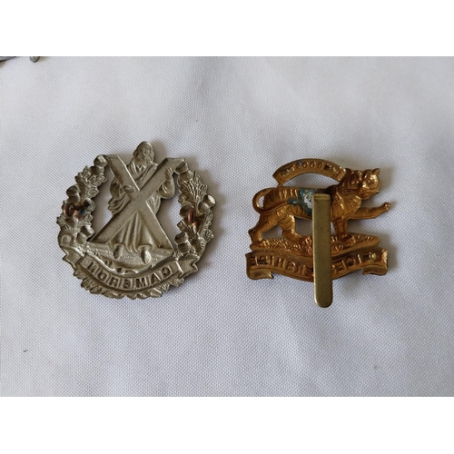 106 - quantity of vintage military badges